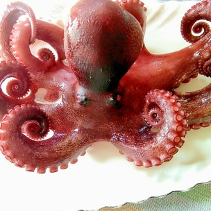 生ダコの下処理と茹で方 レシピ 作り方 By ここなっつん 楽天レシピ 生ダコの下処理と茹で方 レシピ 作り方 By ここなっつん 楽天レシピ