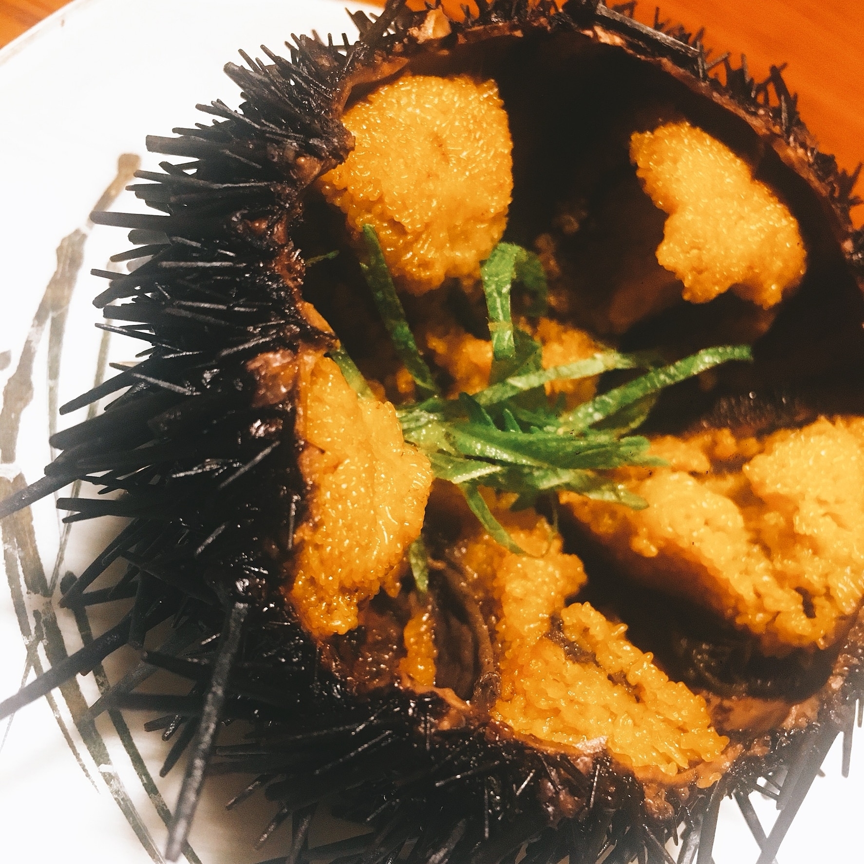 殼つきうにの姿蒸し レシピ 作り方 By 貴ばあ 楽天レシピ 殼つきうにの姿蒸し レシピ 作り方 By 貴ばあ 楽天レシピ