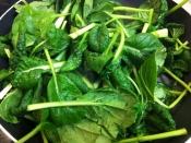 ビタミン菜と薄揚げの炒め物 レシピ 作り方 By アボカドプリン 楽天レシピ