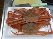 塩分濃度とゆで方 ズワイガニ塩ゆで レシピ 作り方 By Startrek 楽天レシピ 塩分濃度とゆで方 ズワイガニ塩ゆで レシピ 作り方 By Startrek 楽天レシピ