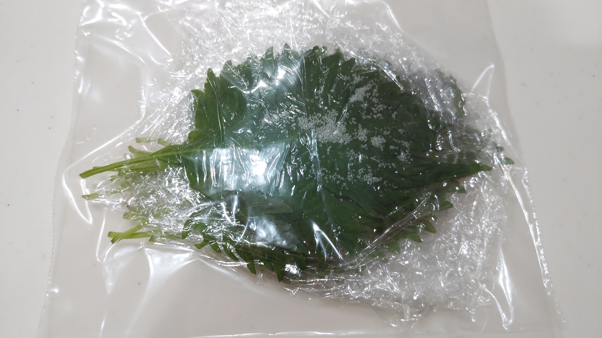 大葉の冷凍で塩漬け