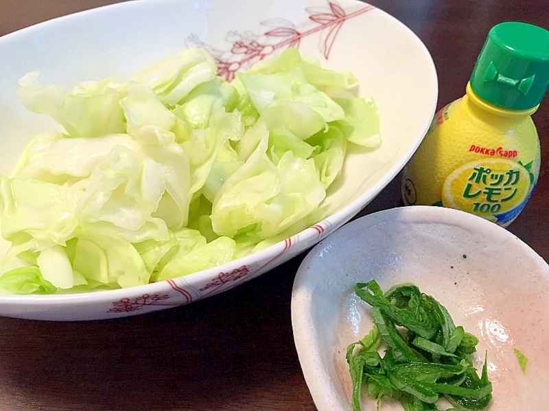 簡単♪焼鳥屋さんの塩キャベツ