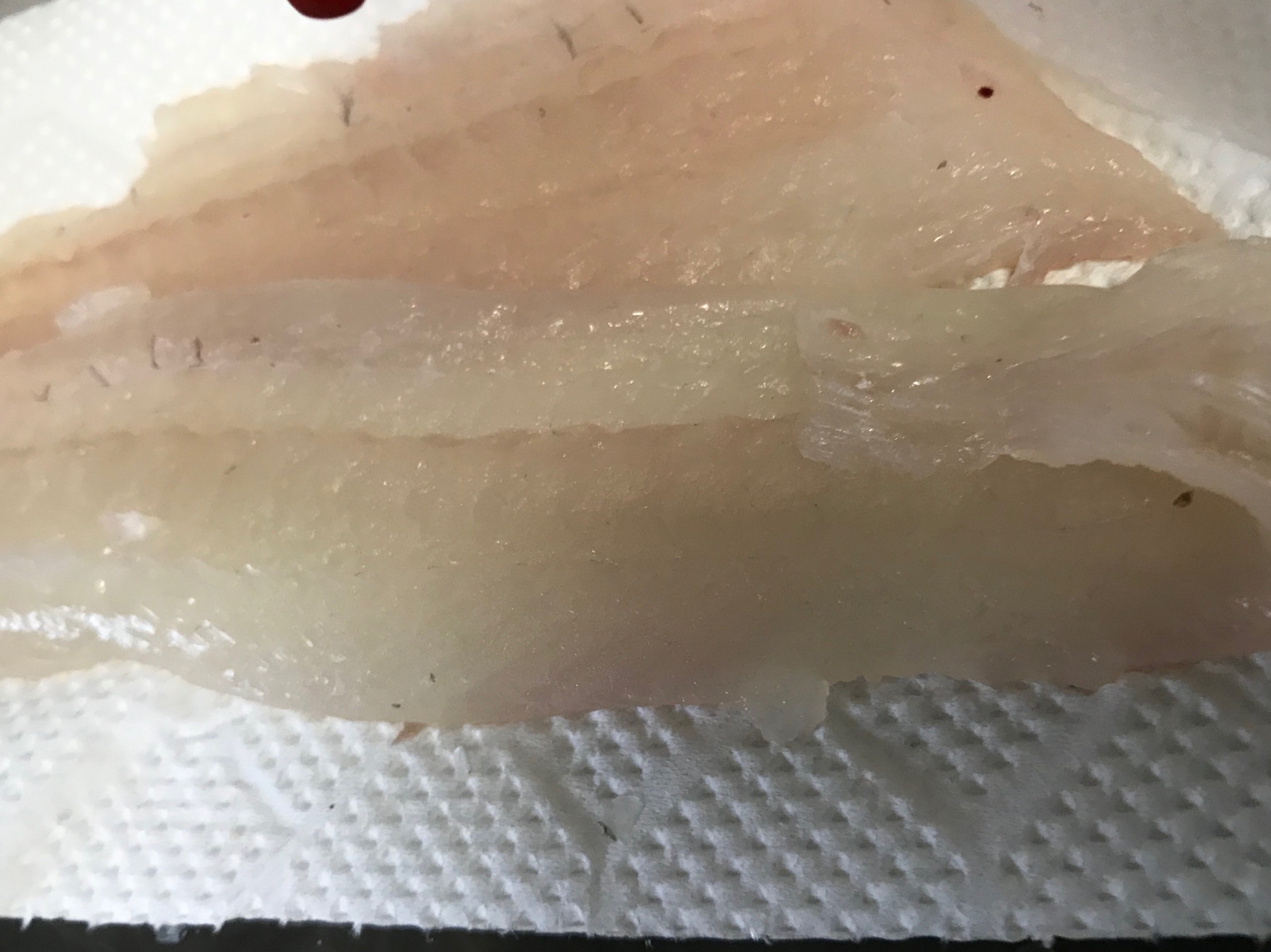 万能 ヒラメさばき方 レシピ 作り方 By Rママ 楽天レシピ 万能 ヒラメさばき方 レシピ 作り方 By Rママ 楽天レシピ