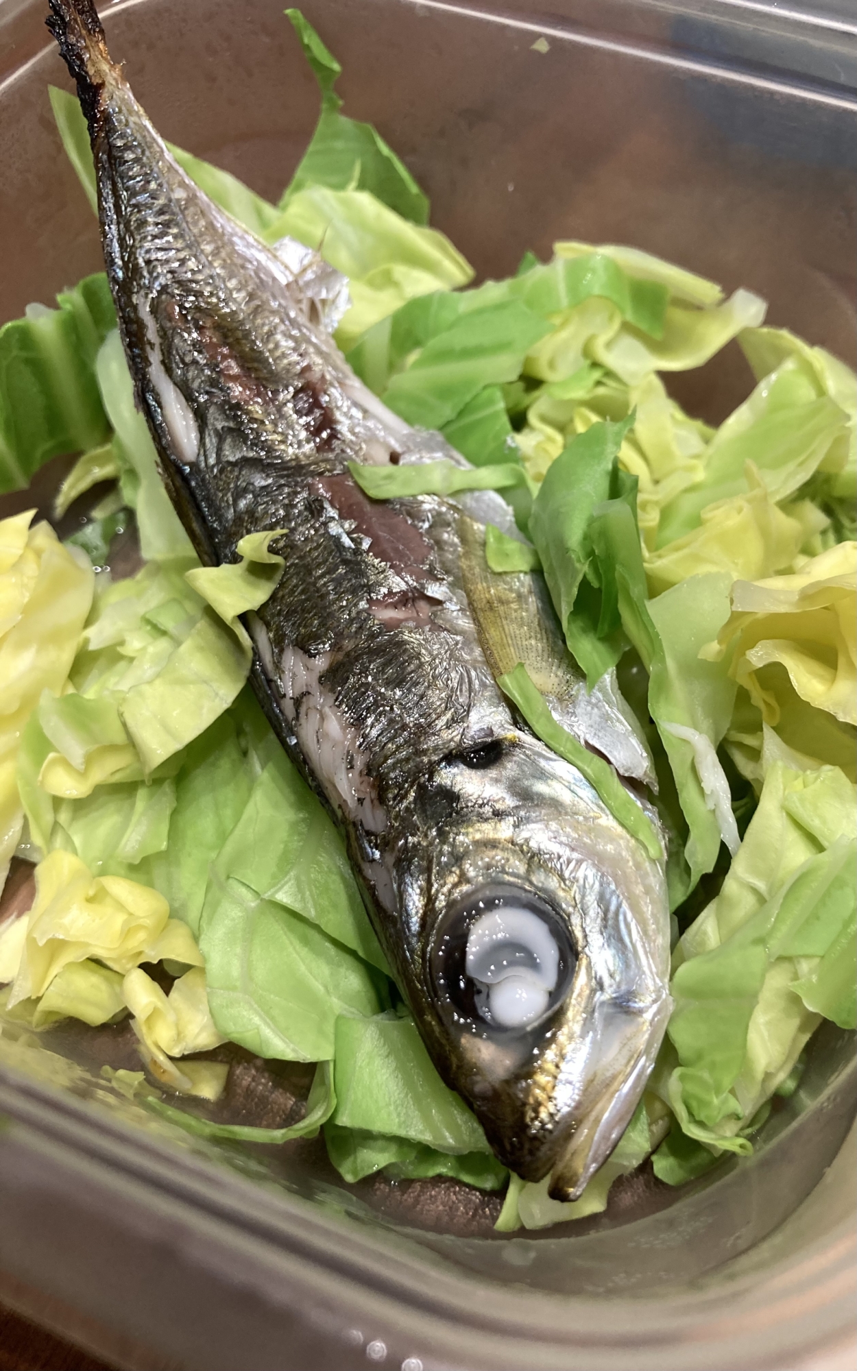 小アジとキャベツのフライパンでジューシー焼き レシピ 作り方 By のこ311 楽天レシピ 小アジとキャベツのフライパンでジューシー焼き レシピ 作り方 By のこ311 楽天レシピ