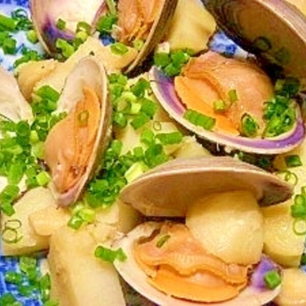 ホンビノス貝とジャガイモのワイン蒸し レシピ 作り方 By ブルーボリジ 楽天レシピ ホンビノス貝とジャガイモのワイン蒸し レシピ 作り方 By ブルーボリジ 楽天レシピ