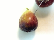 いちじくの赤ワイン煮 レシピ 作り方 By Anelavivi 楽天レシピ