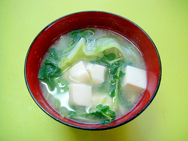 豆腐と春キャベツ豆苗の味噌汁