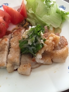 豚ロース焼きの大根おろしのせ