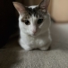 ちびぺん