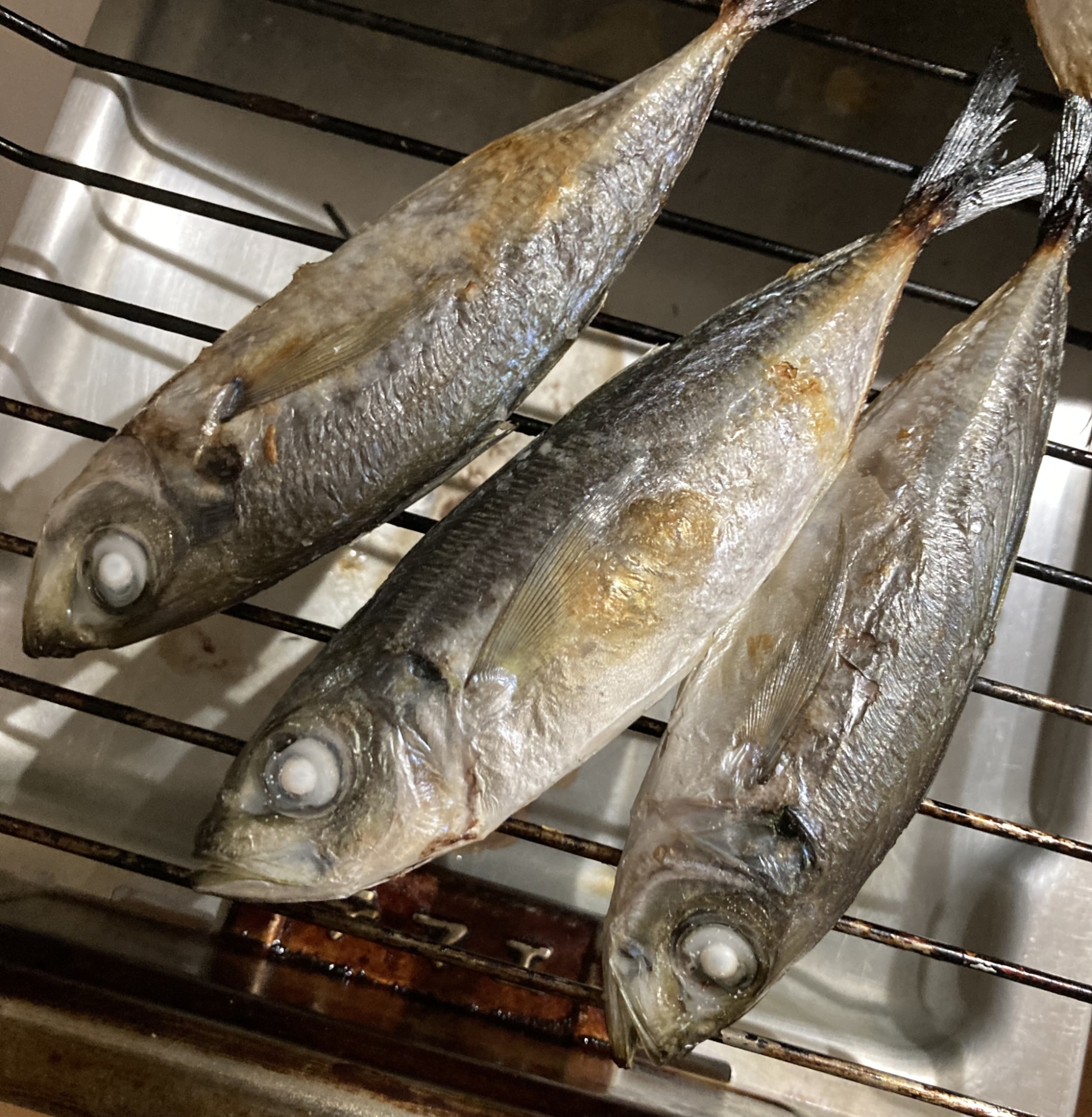 冷凍小アジの塩焼き レシピ 作り方 By へんてこへんてこママ 楽天レシピ 冷凍小アジの塩焼き レシピ 作り方 By へんてこへんてこママ 楽天レシピ