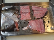 旨みを引き出すコツ イサキのアラ汁 レシピ 作り方 By Startrek 楽天レシピ 旨みを引き出すコツ イサキのアラ汁 レシピ 作り方 By Startrek 楽天レシピ