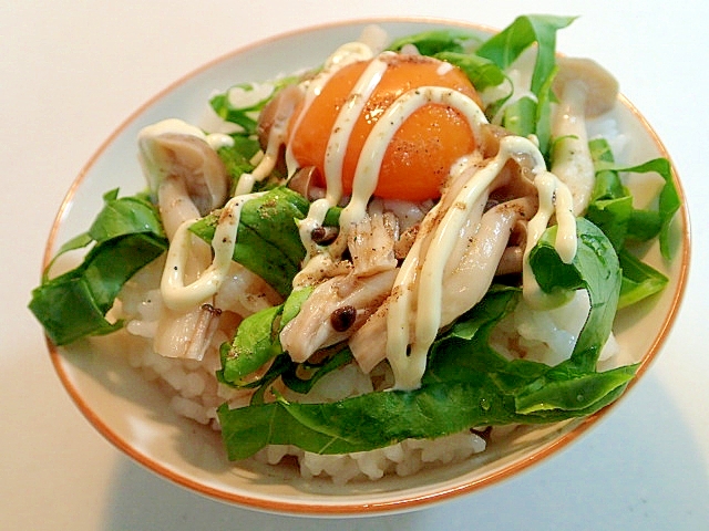 花椒塩香る　サラダ菜としめじと卵黄のご飯