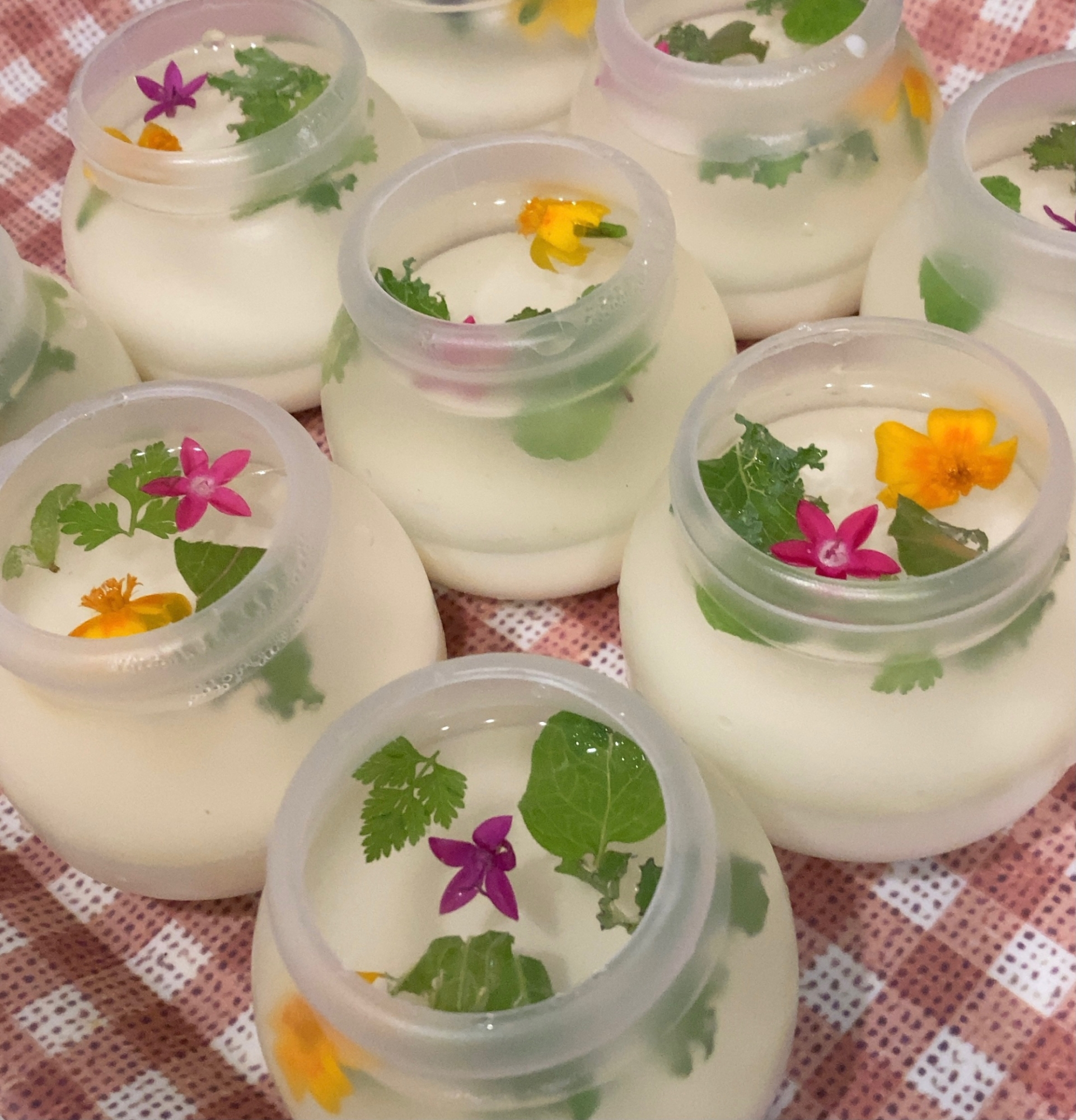 お花のゼリー レシピ 作り方 By 紅蓮華 楽天レシピ お花のゼリー レシピ 作り方 By 紅蓮華 楽天レシピ