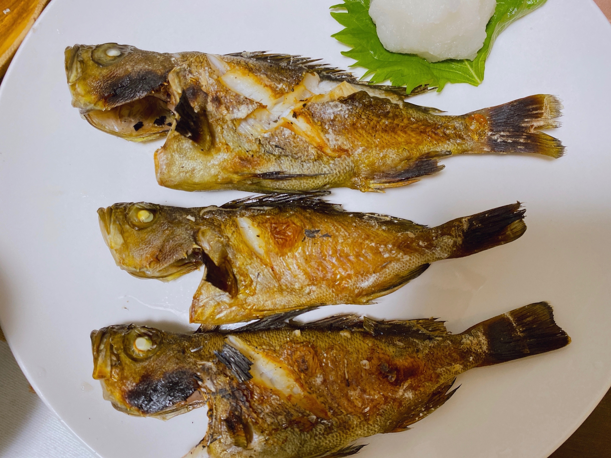 釣った小魚(ガヤメバル)の塩焼き