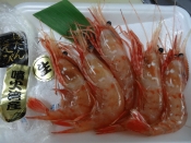 秋の旬 ボタンエビ姿造りイクラ添え レシピ 作り方 By Startrek 楽天レシピ 秋の旬 ボタンエビ姿造りイクラ添え レシピ 作り方 By Startrek 楽天レシピ