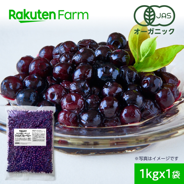 【冷凍】オーガニック ワイルドブルーベリー 1kg（野生種）