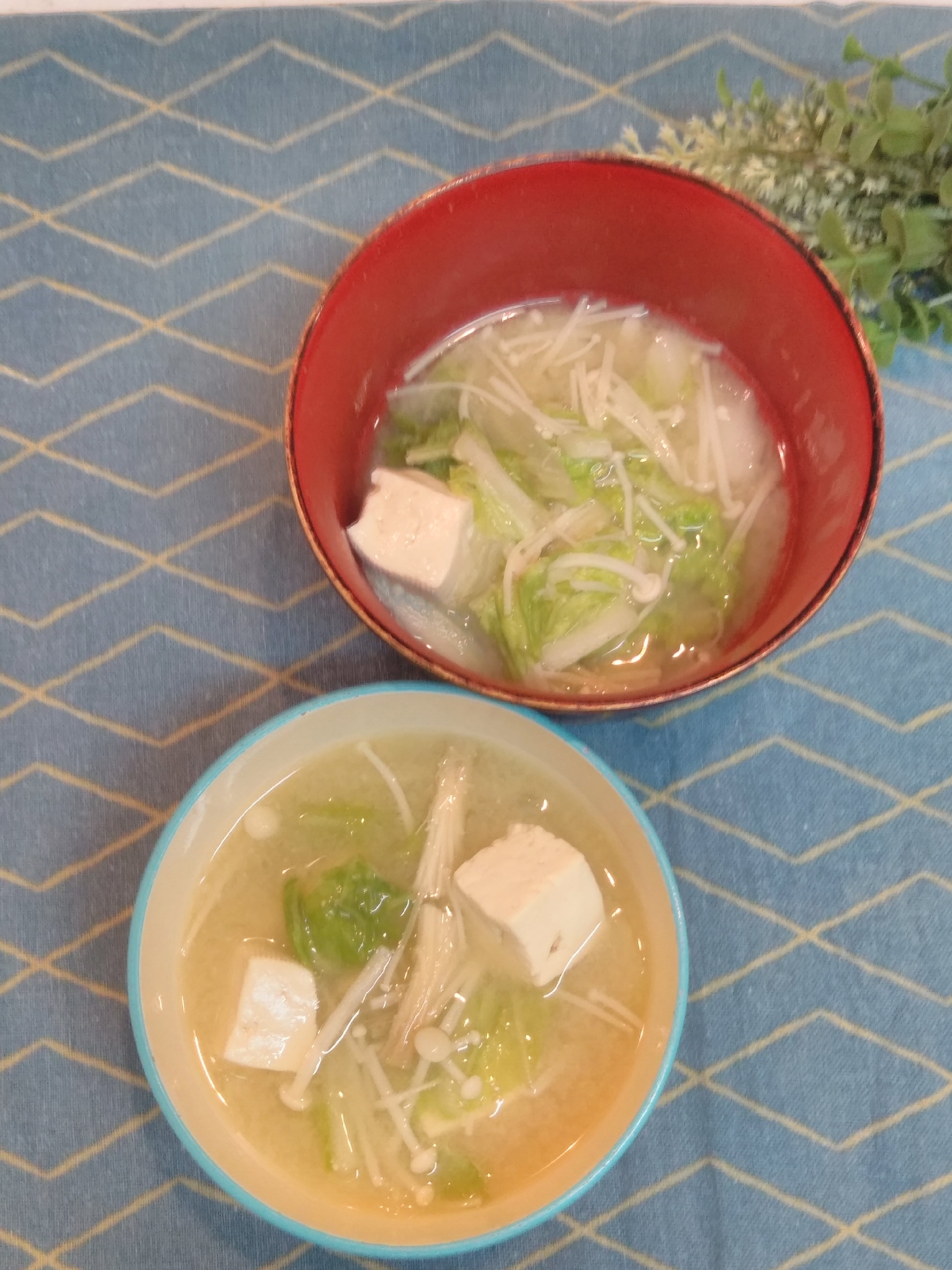 いりこだし香る☆白菜、豆腐、えのきの食べる味噌汁