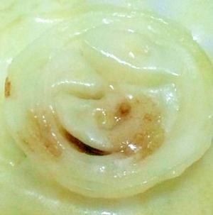 レンジでチンするだけ 玉ねぎチーズ レシピ 作り方 By Mimu 楽天レシピ レンジでチンするだけ 玉ねぎチーズ レシピ 作り方 By Mimu 楽天レシピ