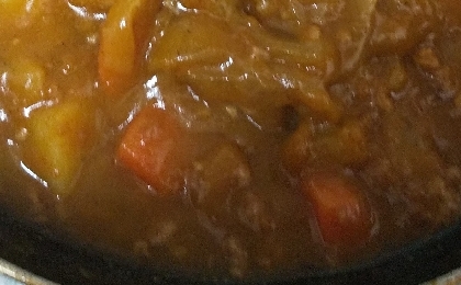 栄養満点カレー