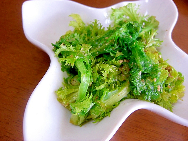 わさび菜のおひたし レシピ 作り方 By Tukuyo93 楽天レシピ わさび菜のおひたし レシピ 作り方 By Tukuyo93 楽天レシピ