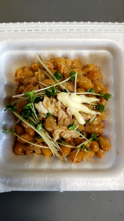 納豆アレンジ 貝割れ菜&ツナ マヨかけて