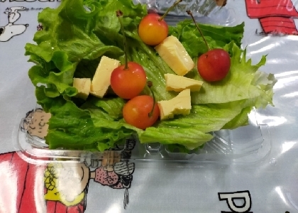 美容♡チェリーサラダ