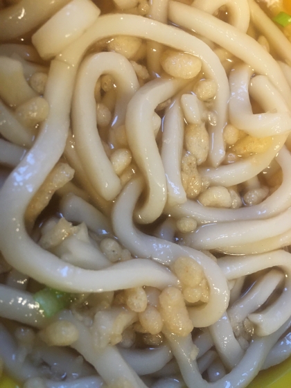 ぶっかけたぬきうどん