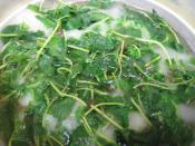 ハーブシロップ レシピ 作り方 By しぃ1028 楽天レシピ ハーブシロップ レシピ 作り方 By しぃ1028 楽天レシピ