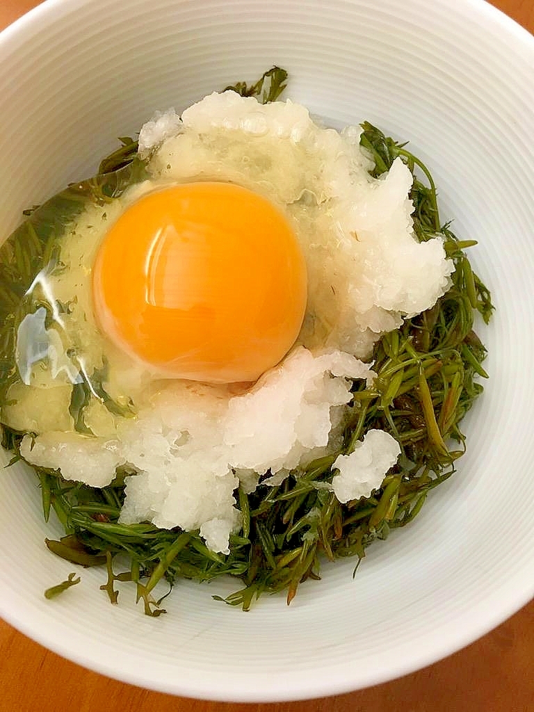 アカモク大根おろし卵落とし レシピ 作り方 By Madone6 楽天レシピ アカモク大根おろし卵落とし レシピ 作り方 By Madone6 楽天レシピ
