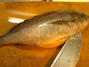 豪華に見える いさきのオーブン焼き レシピ 作り方 By よねやん1号 楽天レシピ 豪華に見える いさきのオーブン焼き レシピ 作り方 By よねやん1号 楽天レシピ