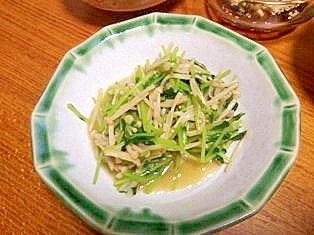 豆苗と　えのきの　ナムル　レンジで簡単！