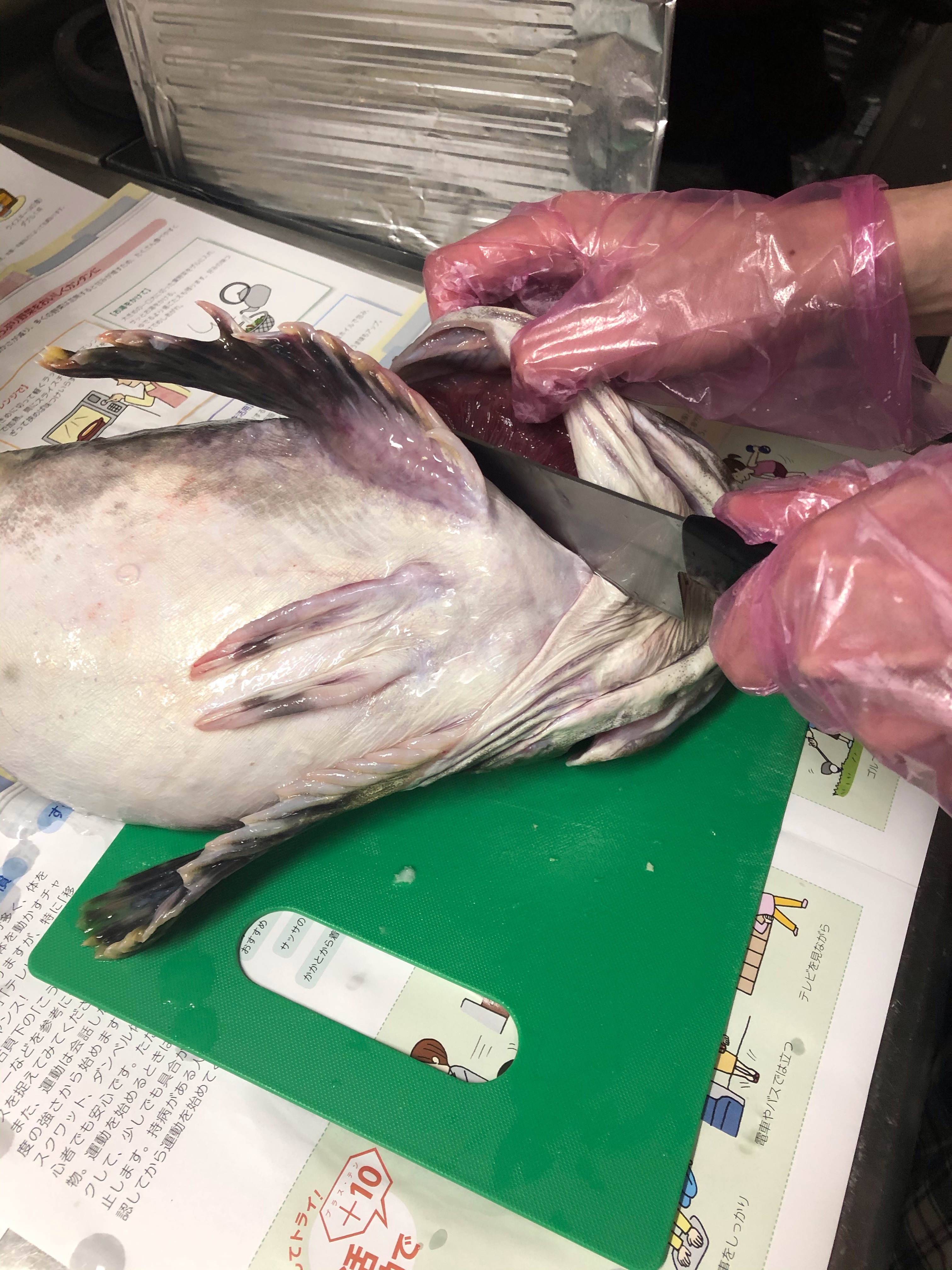 魚の捌き方 カジカ編 鍋にぴったりの北海道の魚 レシピ 作り方 By りゆうの最北投資ブログ運営中 楽天レシピ