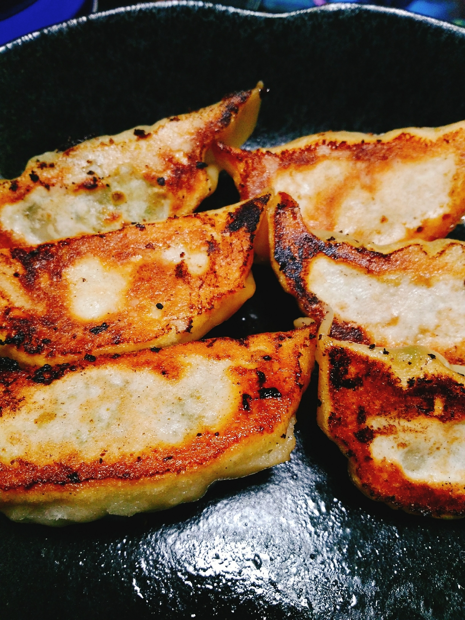 本気の焼き餃子