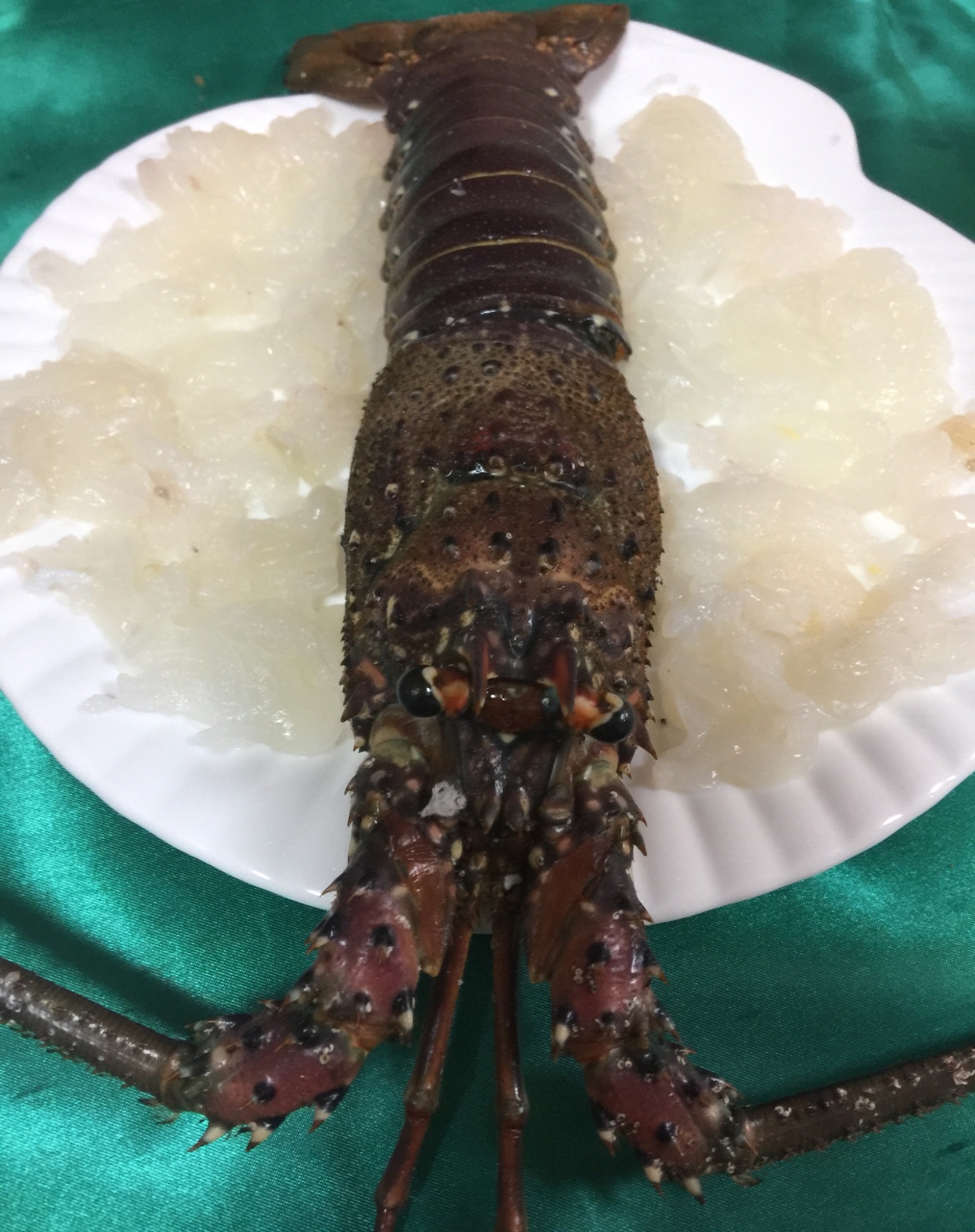 伊勢エビ の お刺身 レシピ 作り方 By Mi A 楽天レシピ 伊勢エビ の お刺身 レシピ 作り方 By Mi A 楽天レシピ