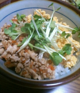 そぼろと卵がやさしいお味(^^)彩りきれいで美味しかったです。