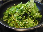 無料ダウンロード 二十日大根 葉っぱ 2443 二十日大根 葉っぱ レシピ 無料ダウンロード 二十日大根 葉っぱ 2443 二十日大根 葉っぱ レシピ