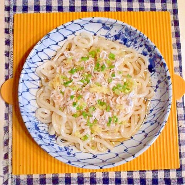 生アミエビのぶっかけうどん レシピ 作り方 By テツオ63 楽天レシピ 生アミエビのぶっかけうどん レシピ 作り方 By テツオ63 楽天レシピ