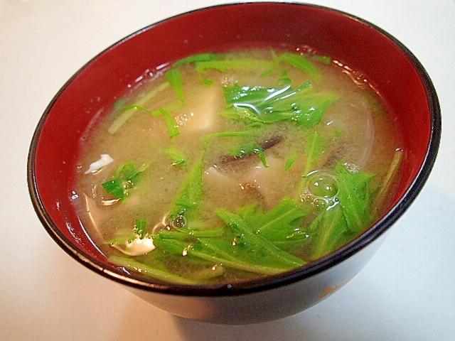 玉ねぎ・ひらたけ・水菜・豆腐のお味噌汁