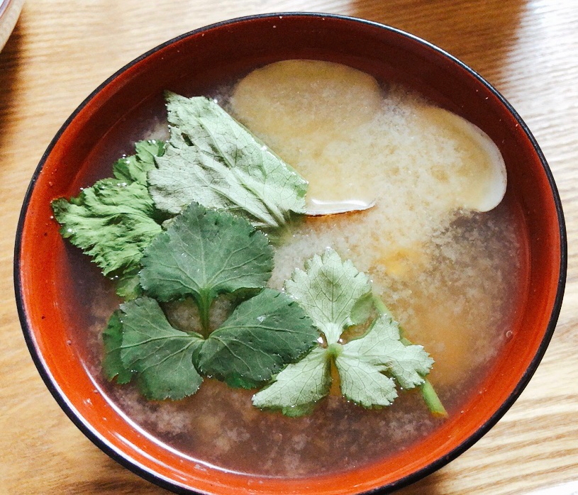 あさりと三ツ葉のお味噌汁