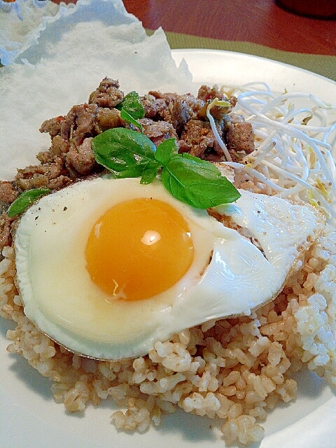 塩麹漬け豚肉となすのガパオ風ご飯