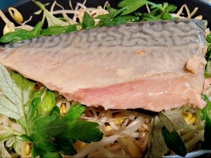 ノルウェー産塩鯖ꕤパリっとふっくらグリル焼き