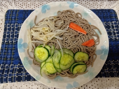 冷やしそば さつま揚げ野菜色々のせて