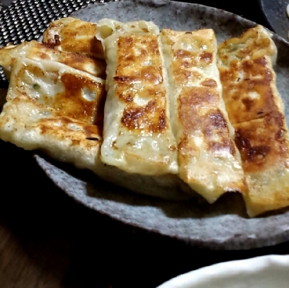 キャベツと玉ねぎの焼きギョウザ