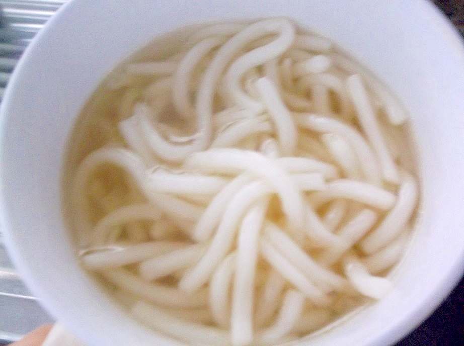 シンプル素うどん