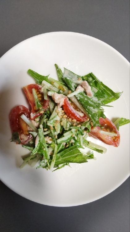 ごまマヨがおいしい♡水菜とトマトとツナのサラダ