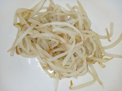 レンジで簡単！もやしのナムル