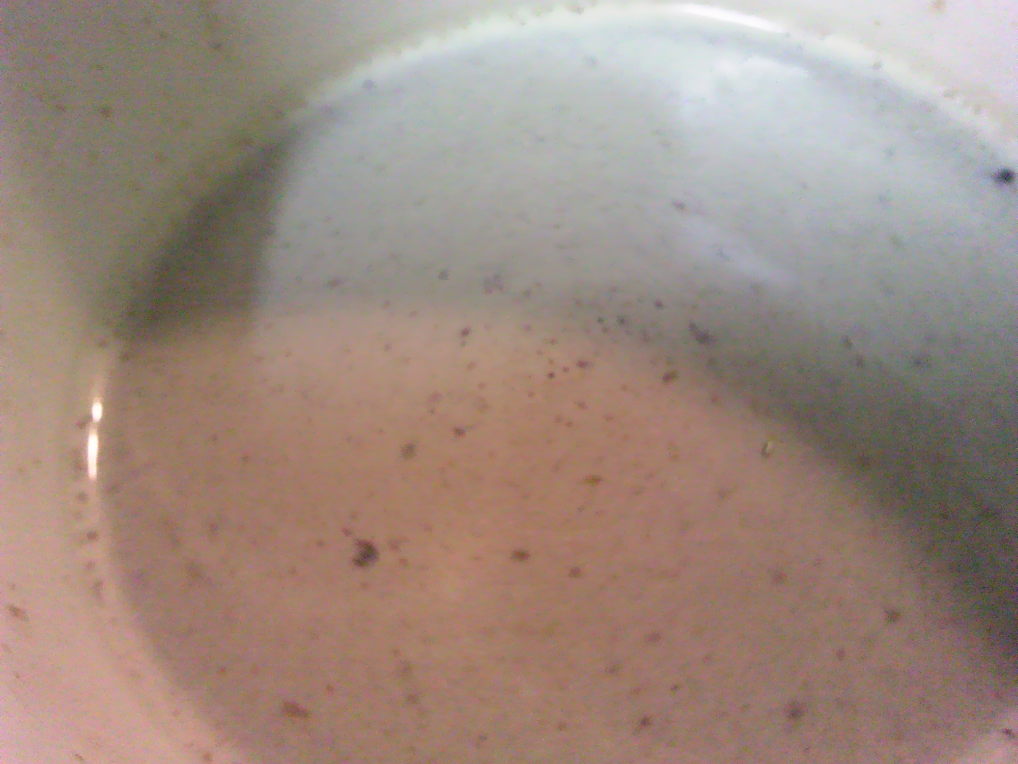 チョコバニラ青汁豆乳