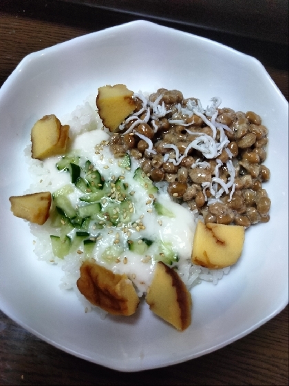 納豆しらす&伊達巻&キュウリとろろ丼