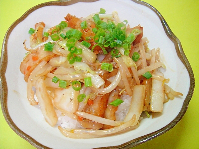 もやしと白菜さつま揚げの中華風丼