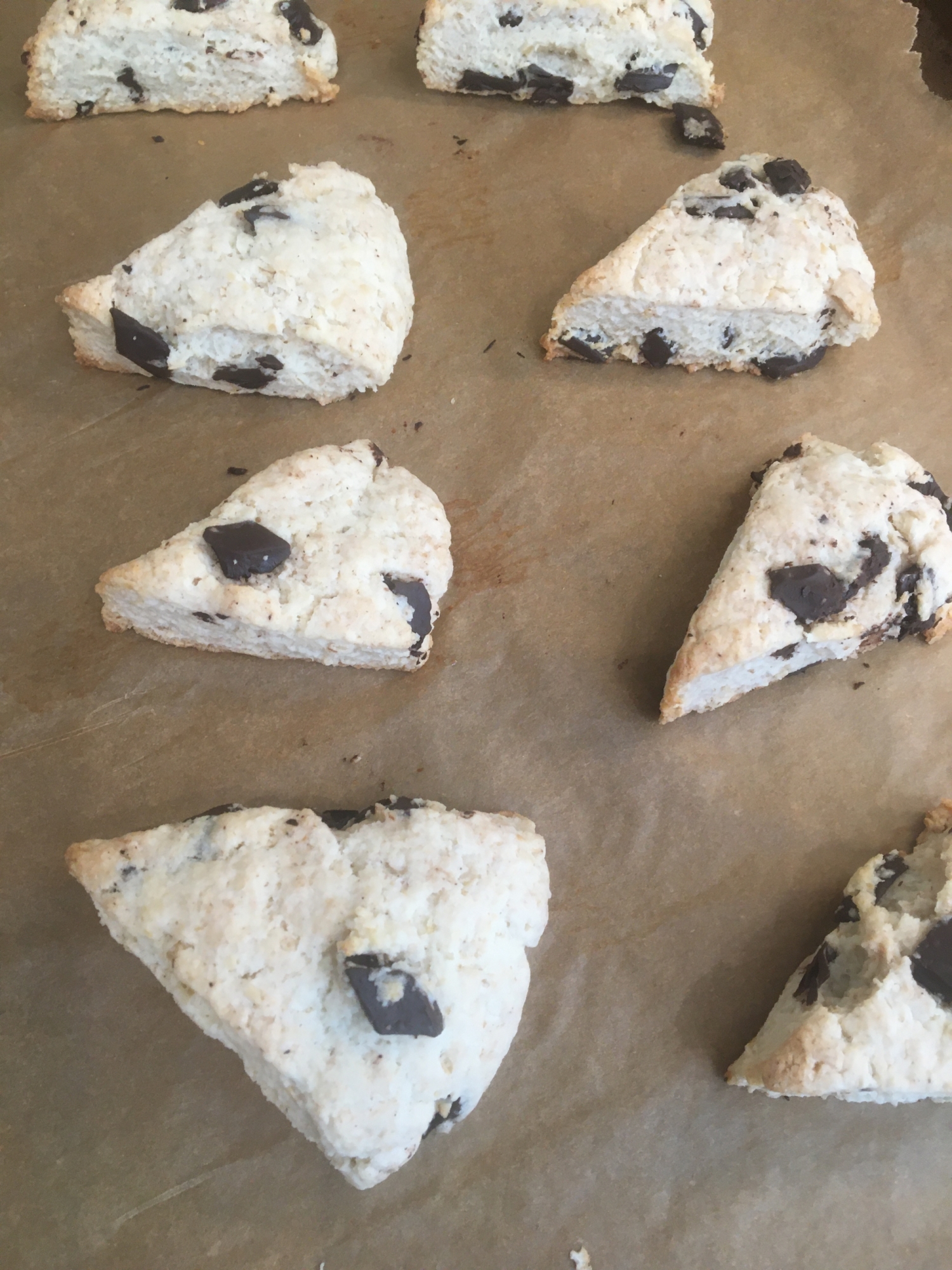 簡単チョコチップスコーン レシピ 作り方 By Miyachi 楽天レシピ